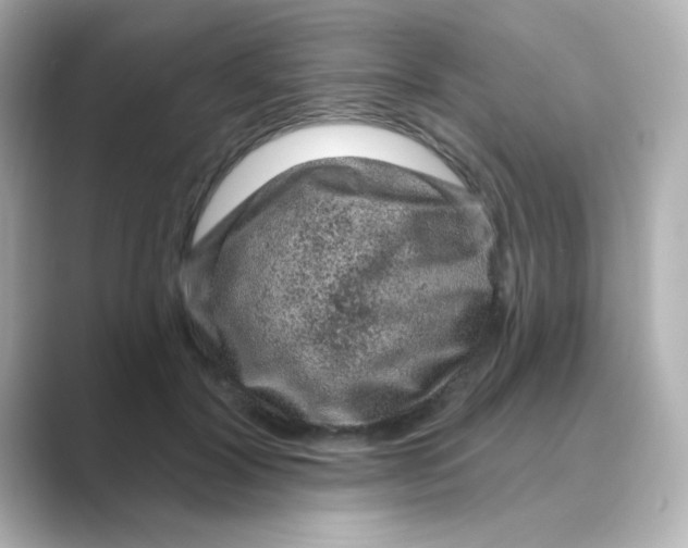 X0000088670604200706211852
