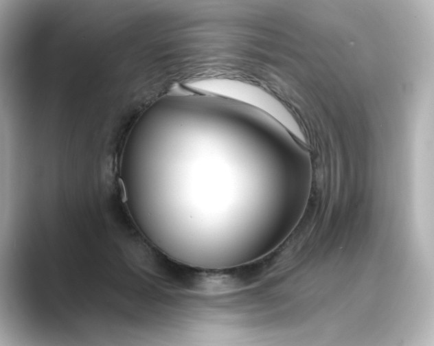 X0000088670605200706211852