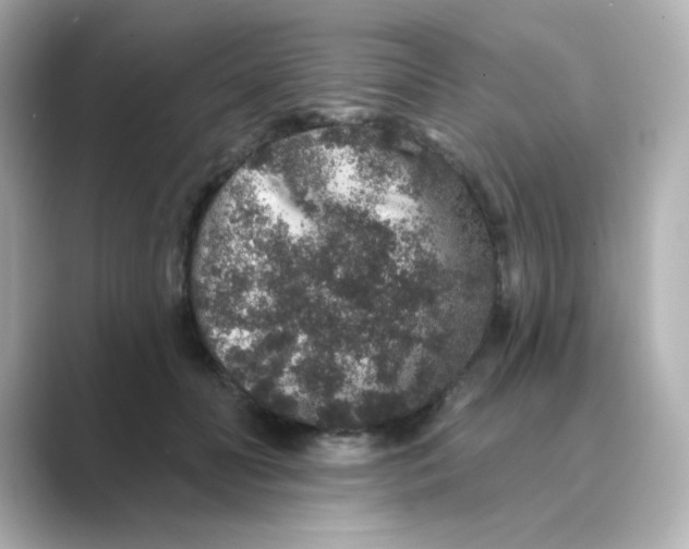 X0000088670606200706211852