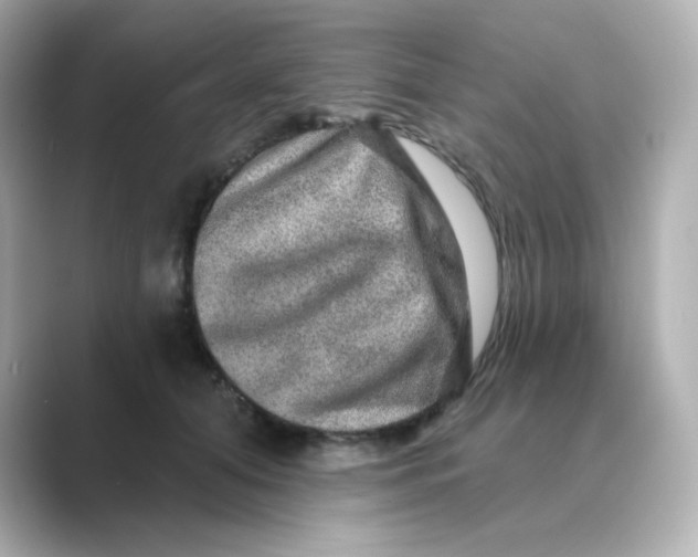 X0000088670608200706211852
