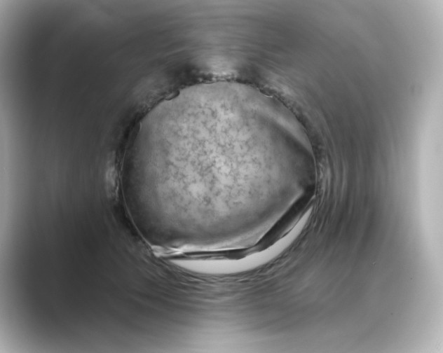 X0000088670609200706211852