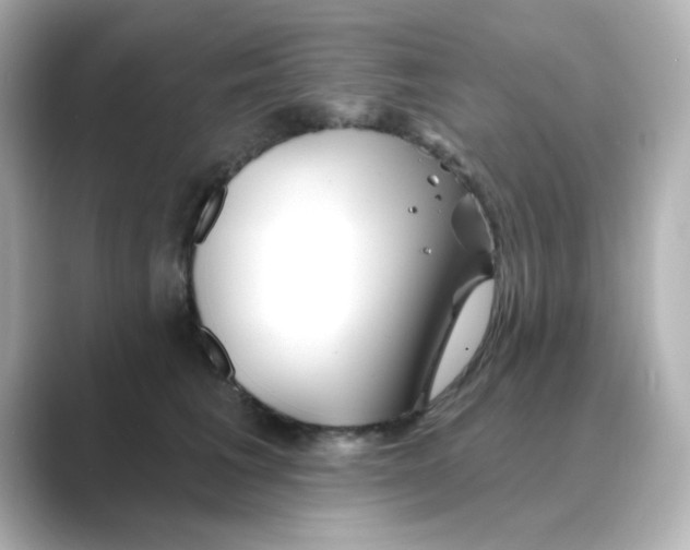 X0000088670613200706211852