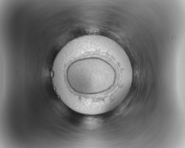X0000088670614200706211852