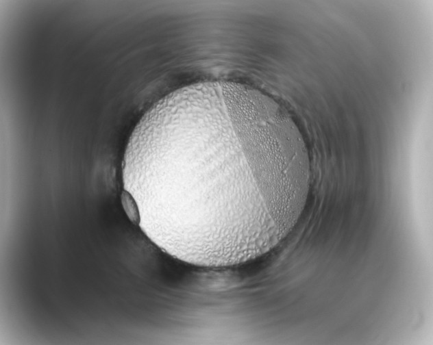 X0000088670615200706211852