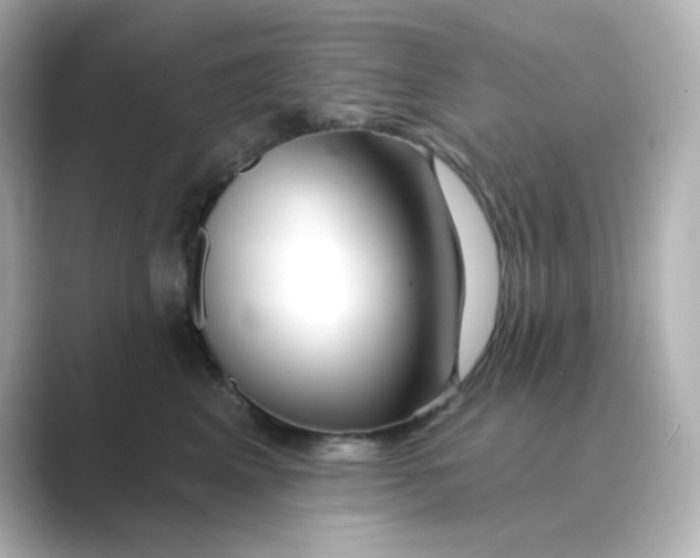 X0000088670617200706211852