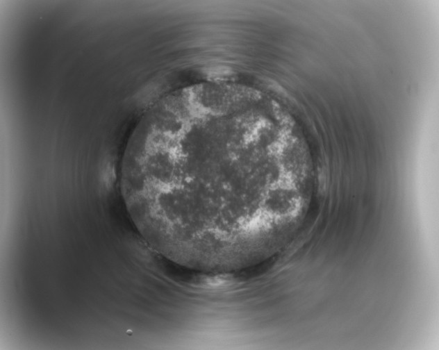 X0000088670618200706211852
