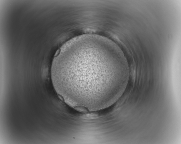 X0000088670619200706211852