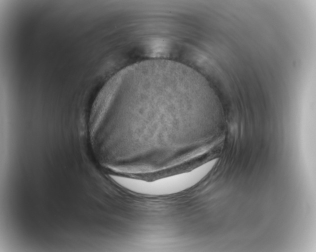 X0000088670620200706211852