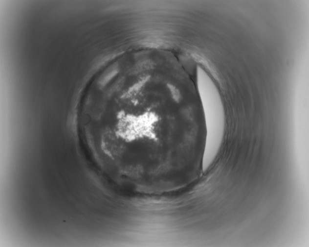 X0000088670626200706211851