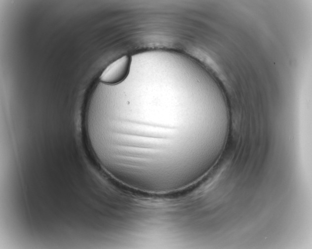 X0000088670629200706211851