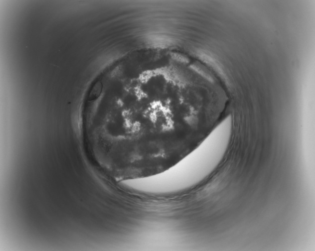 X0000088670630200706211851
