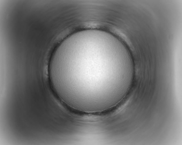 X0000088670633200706211851