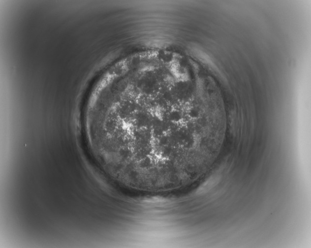 X0000088670634200706211851