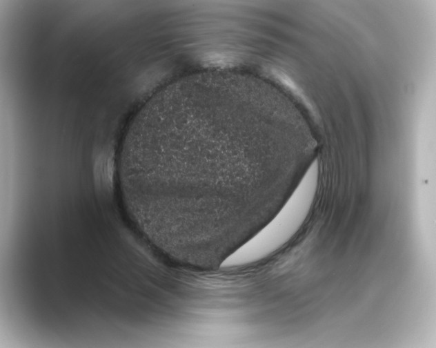 X0000088670637200706211851