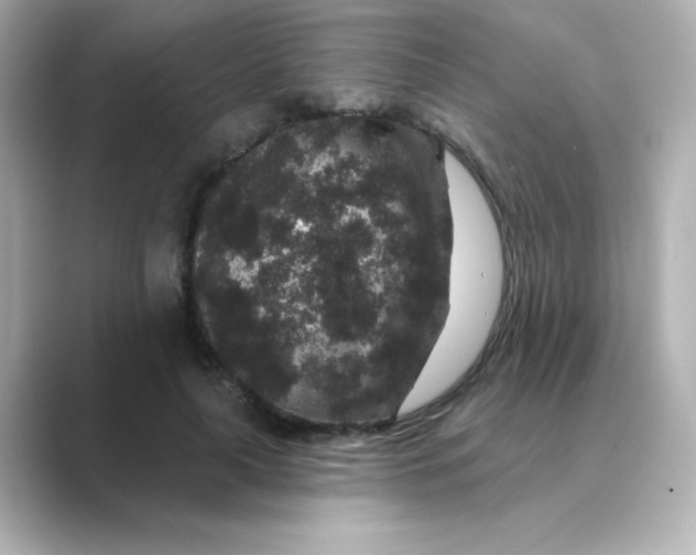 X0000088670643200706211851