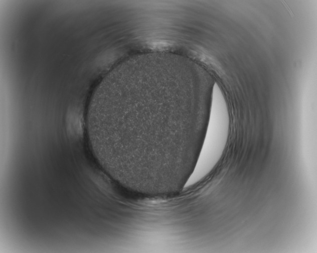 X0000088670644200706211851