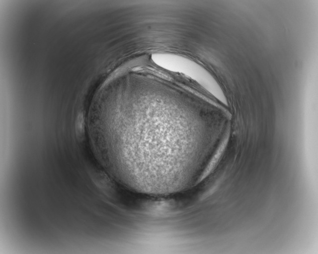 X0000088670646200706211851