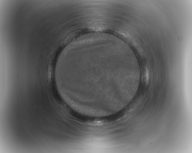 X0000088670647200706211851