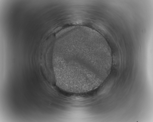 X0000088670648200706211852