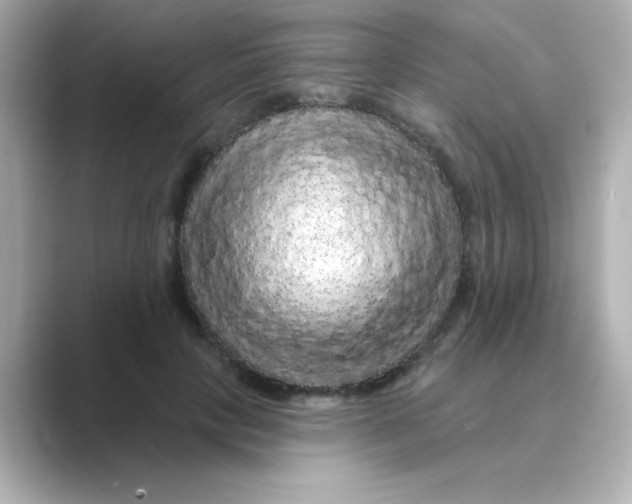 X0000088670649200706211852