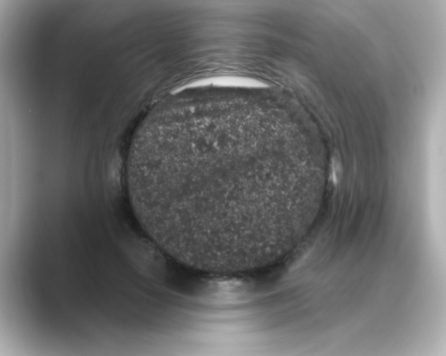 X0000088670650200706211852