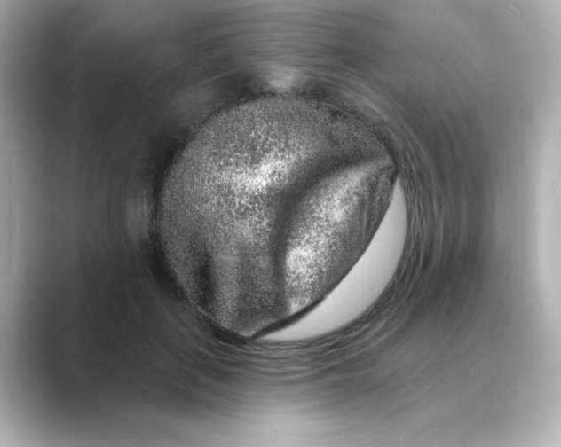 X0000088670651200706211852