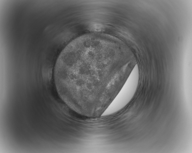 X0000088670652200706211852
