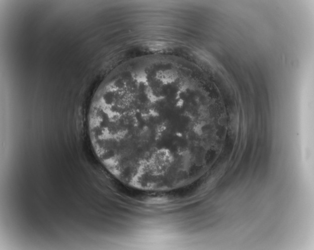 X0000088670653200706211852
