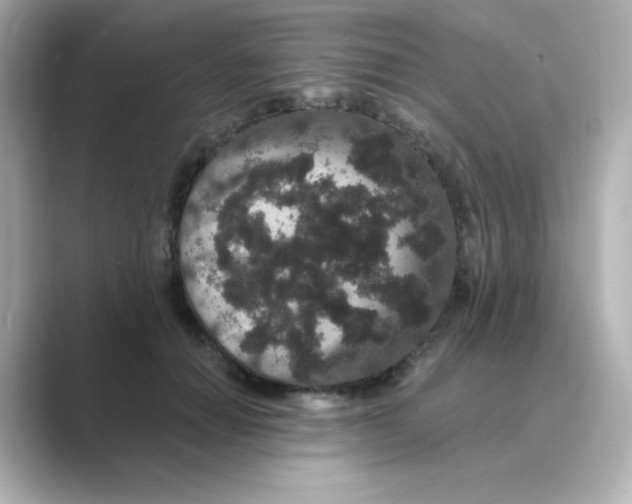X0000088670654200706211852