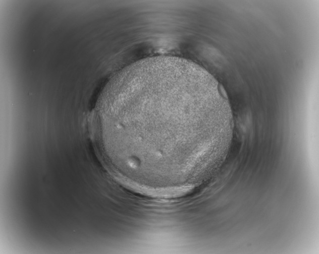 X0000088670657200706211852