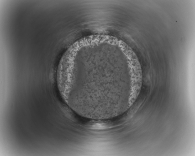 X0000088670658200706211852