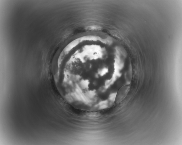 X0000088670659200706211852
