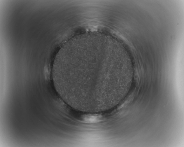 X0000088670661200706211852