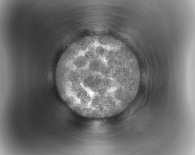 X0000088670662200706211852