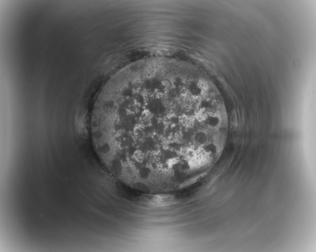 X0000088670663200706211852