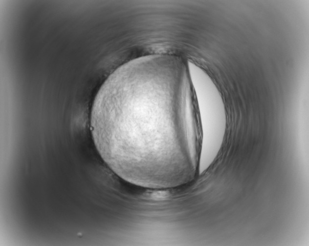 X0000088670665200706211852