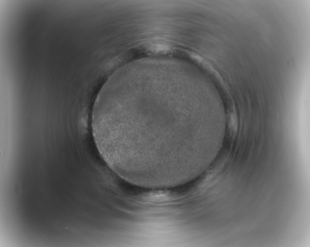 X0000088670668200706211852