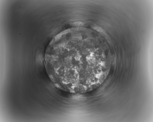 X0000088670669200706211852