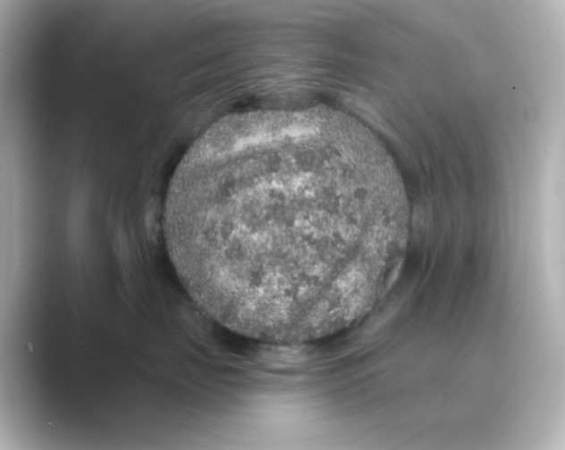 X0000088670671200706211852