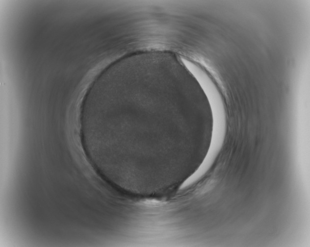 X0000088670673200706211851