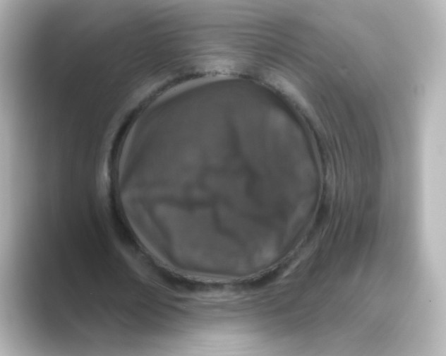X0000088670674200706211851