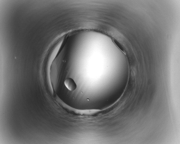 X0000088670676200706211851