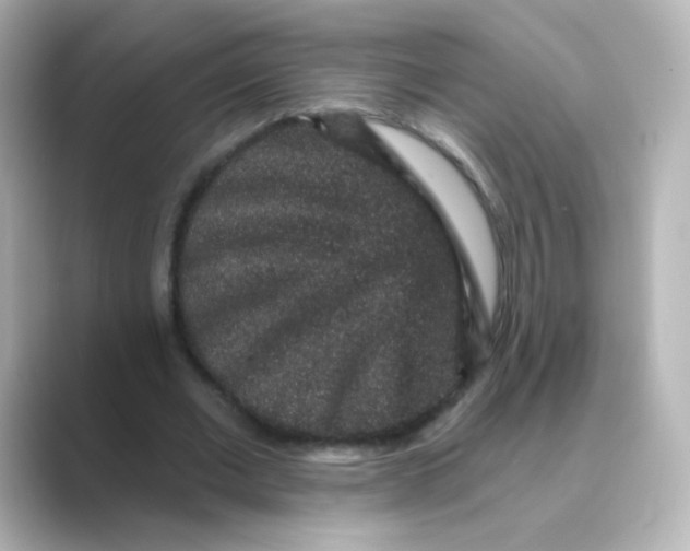 X0000088670677200706211851