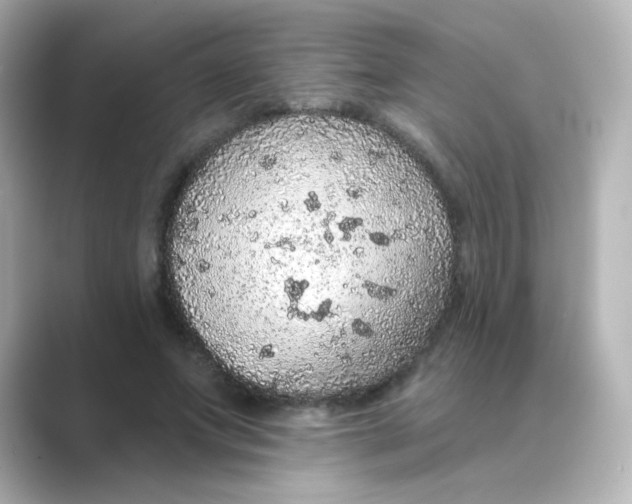 X0000088670687200706211851