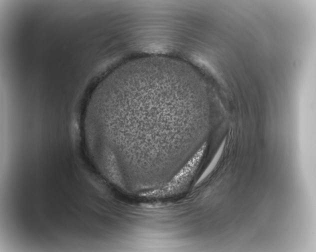 X0000088670688200706211851