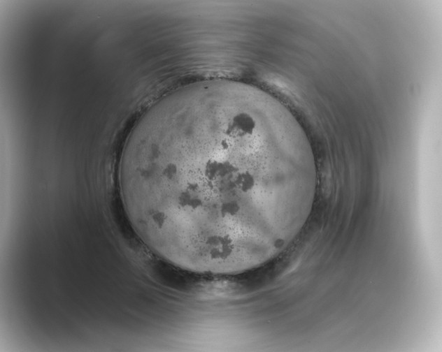 X0000088670695200706211851