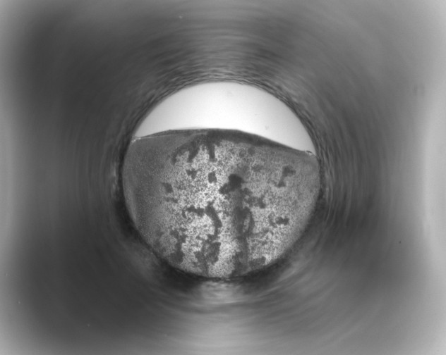 X0000088670699200706211851