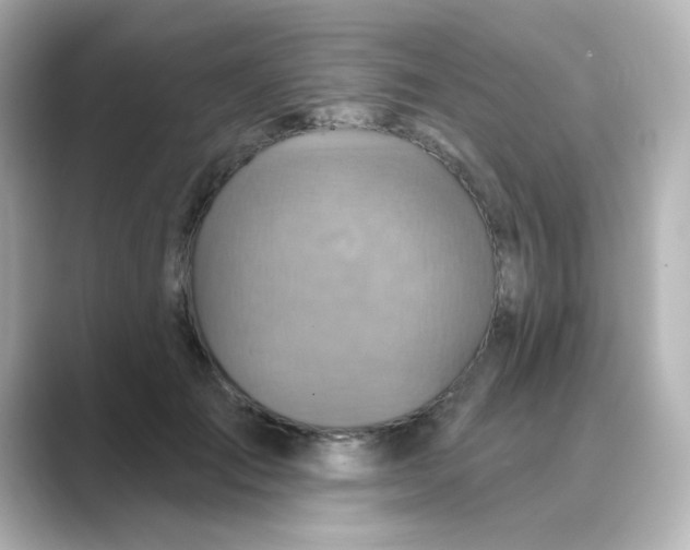X0000088670701200706211851
