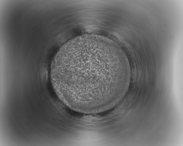 X0000088670703200706211851