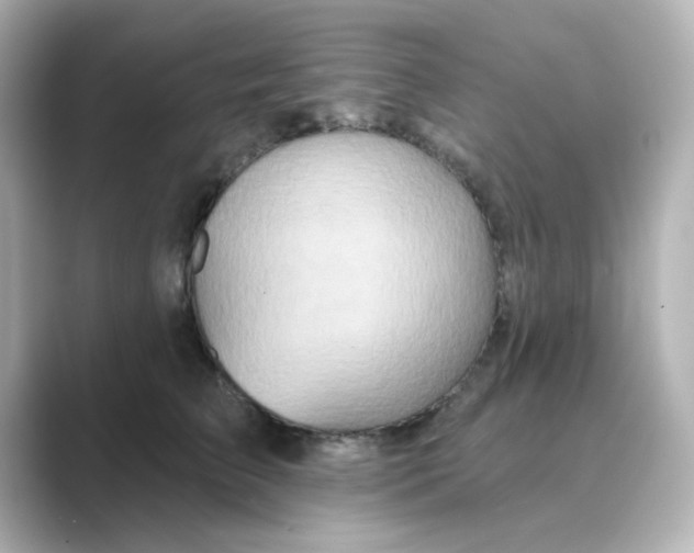 X0000088670709200706211851